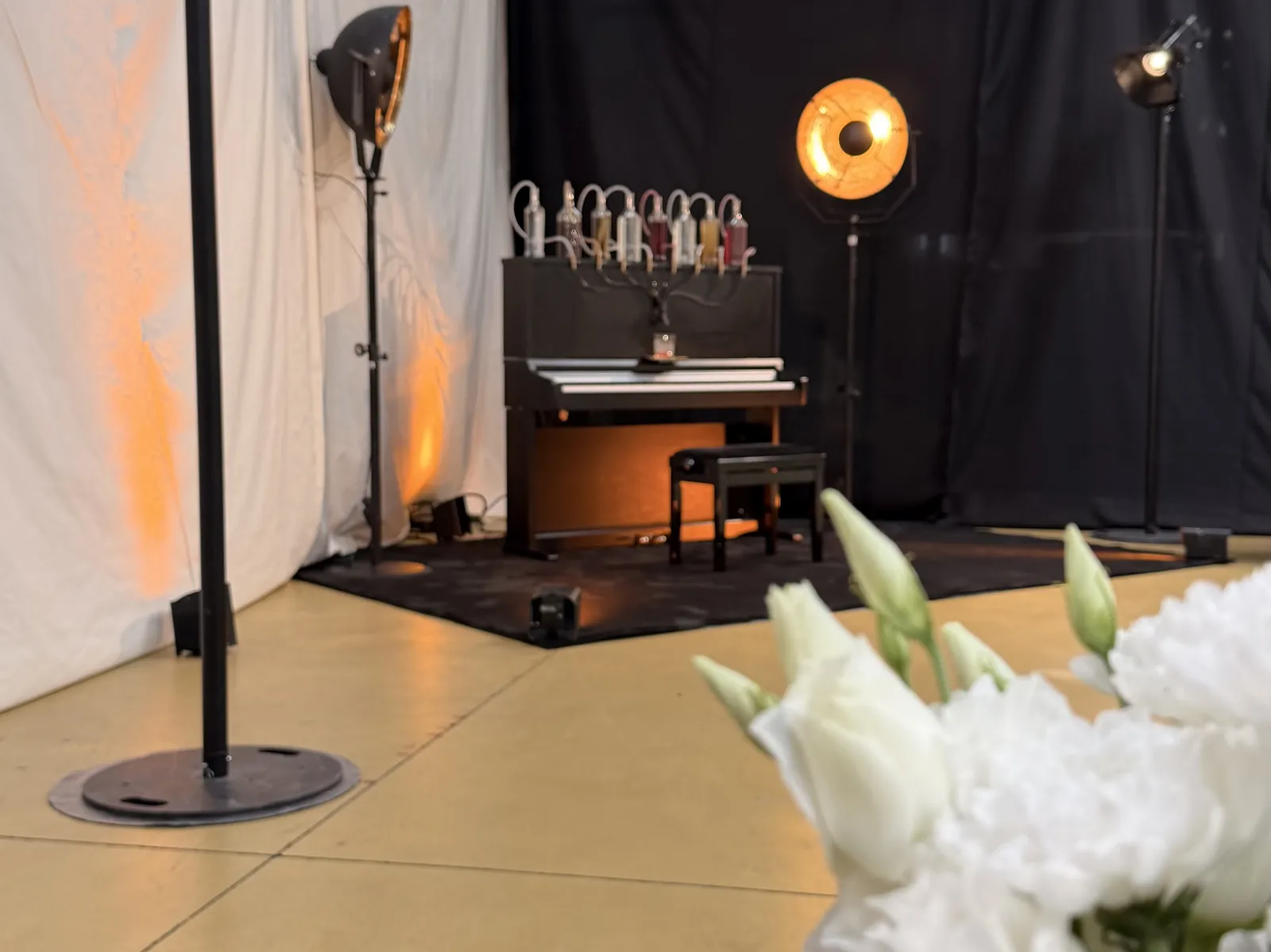 Roses blanches au premier plan, le Pianocktail éclairé en arrière-plan